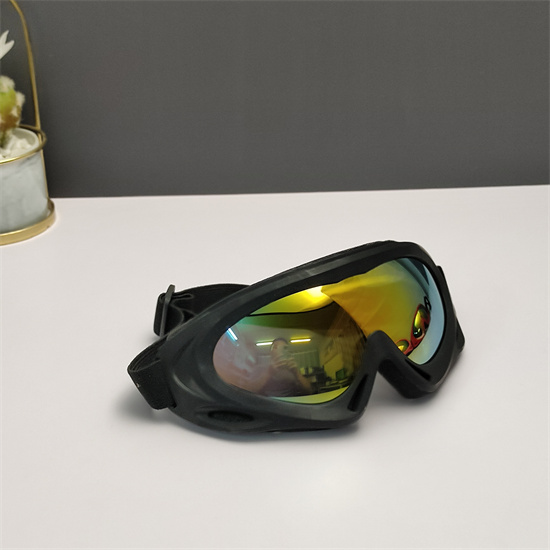 Oakley Ski Goggles 022
